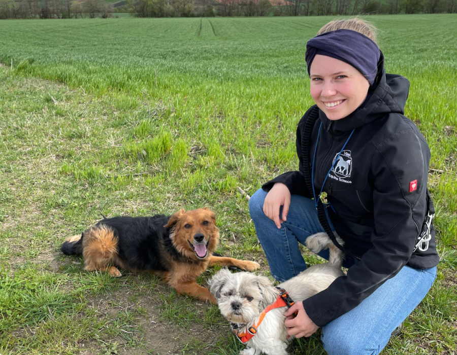 Dogwalking_Rocky_Suza